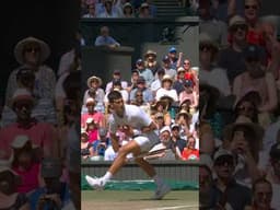 Superman Djokovic 🦸‍♂️ #shorts #novakdjokovic #cameronnorrie #tennis #tennisplayer