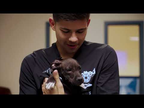 Anthony Markanich Visits The Animal Humane Society
