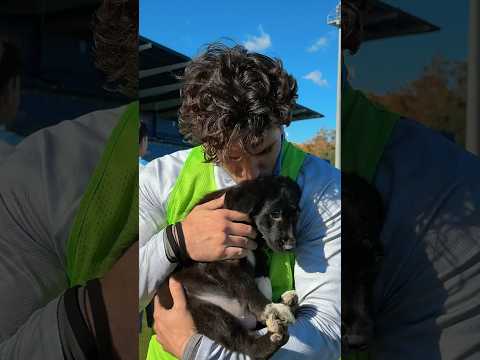 🐾 ¡Cabrera adopta a Balto! ¡Qué seáis muy felices! 🤍💙 #LosPericosNoAbandonan #RCDE