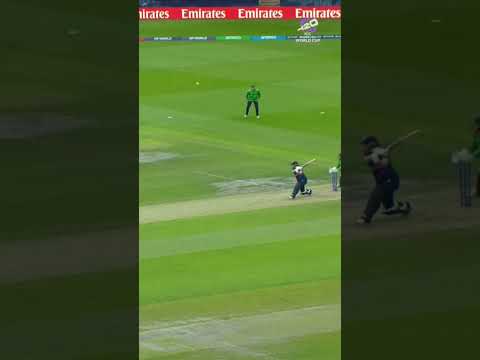 Big wicket for Ireland as Kathryn Bryce departs in #T20WorldCup clash 👏