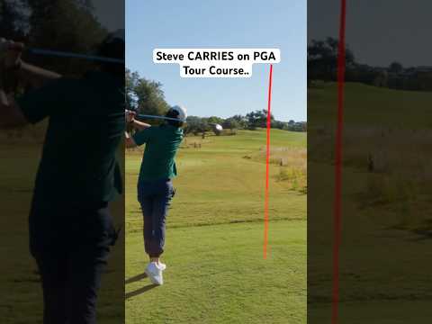 Steve Carrying Good Good 😳