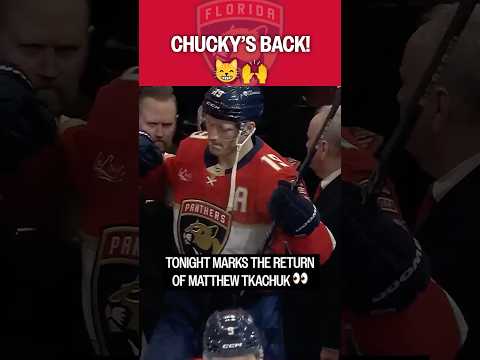 Guess who's back 👀