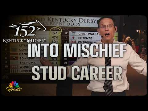 Examining Into Mischief's stud career with Steve Kornacki | NBC Sports