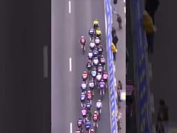 Visma have a new Classics weapon 😳🤯 Matthew Brennan wins Kuurne-Brussel-Kuurne at a canter 🙌