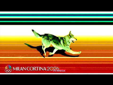 'Canine Calamity': Dog races on cross-country skiing | Winter Olympics 2026 | NBC Sports