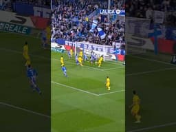 24 de febrer del 2026