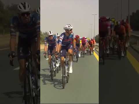 When Tadej Pogacar and Domen Novak went in the early breakaway 👋😅