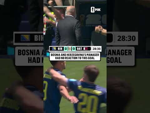 Sergej Barbarez kept it cool after Bosnia and Herzegovina's first goal
