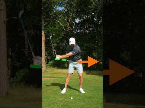 This Is How You Flush IT!