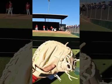 👀 From Behind the Plate