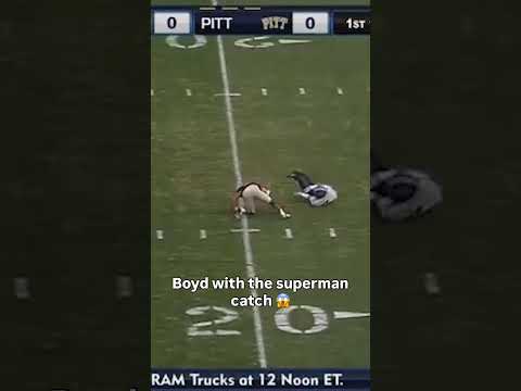 That catch was insane 🤯 #pittsburghpanthers #accfootball #collegefootball