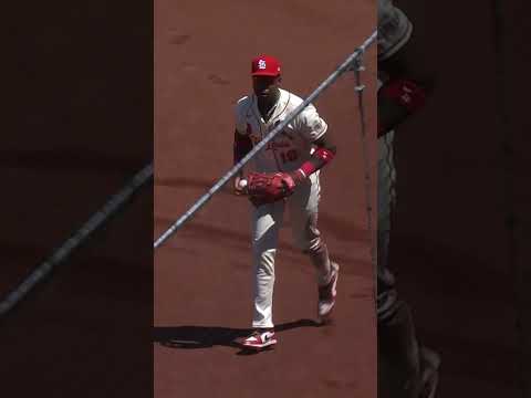Jordan Walker went a LONG way to make this catch in foul territory 😮‍💨