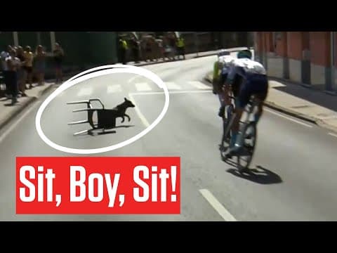 Dog Tries To Take Part In Stage 13 Of Vuelta a España 2025