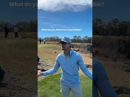 Matt Scharff is going insane.. 😂