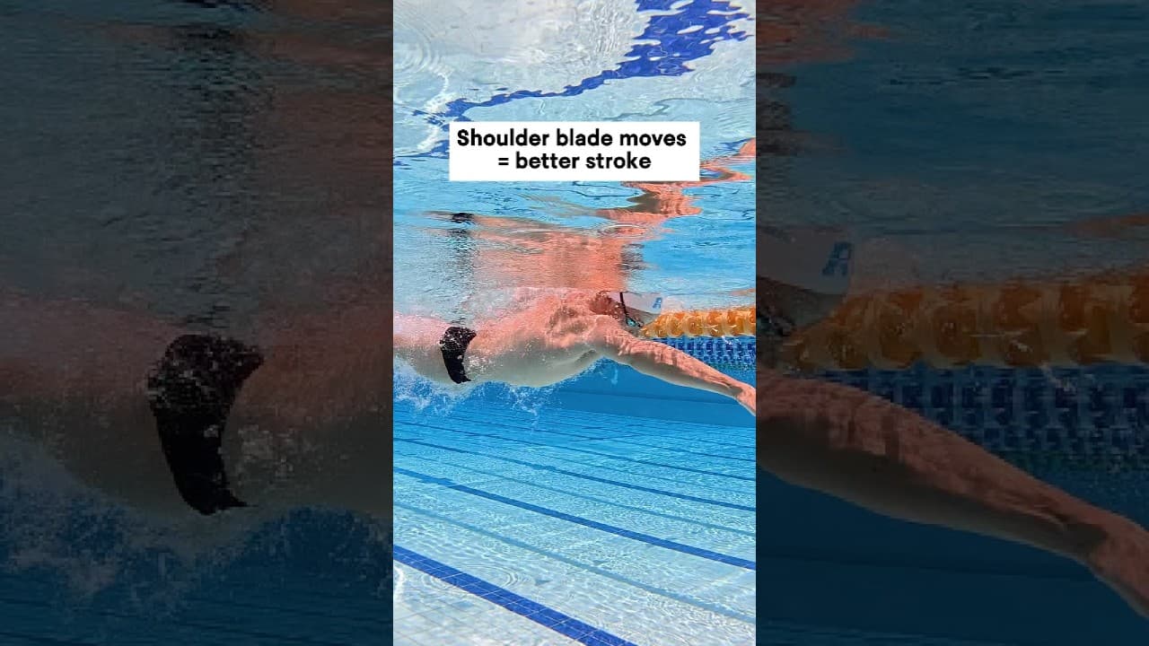 Allow the shoulder blade to move naturally through each phase...