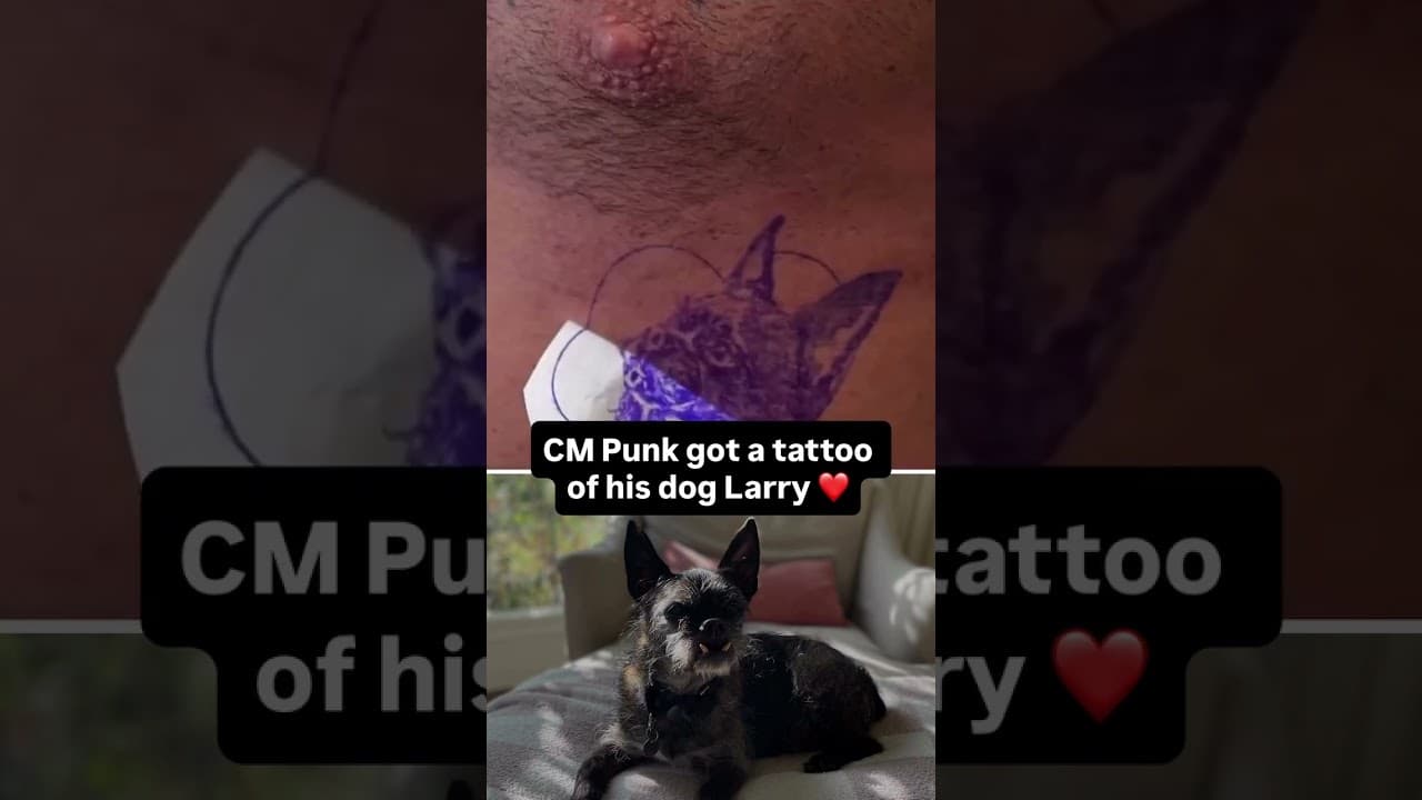 What a beautiful tribute 🥹 (via @maverink.studio/IG @tamgallardo.tattoo/IG @cmpunk/IG)