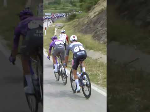 When the GOAT attacks… 🐐 Fortunately, Dion Smith was able to escape mostly unscathed 😅