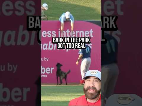 Peak Minor League baseball #baseball