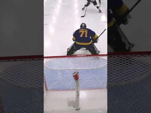 Minnesota hAUKey 🚨