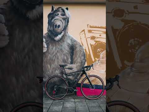 Sunrise streets to starry trails, on the  Topstone Carbon 2 AXS SmartSense ⭐️ #shorts #roadbike