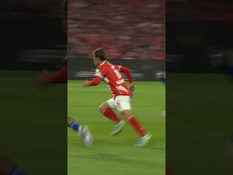 Wow! Just WOW ❗️❗️❗️