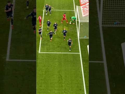 DIESE SICHT 😍🍿 #Hoffenheim #OzanKabak