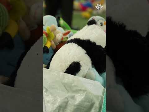 La mágica lluvia de peluches en La Cartuja #futbol #betisbalompie #RealBetisGetafe
