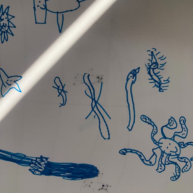 SBFs: Oceans of Wins