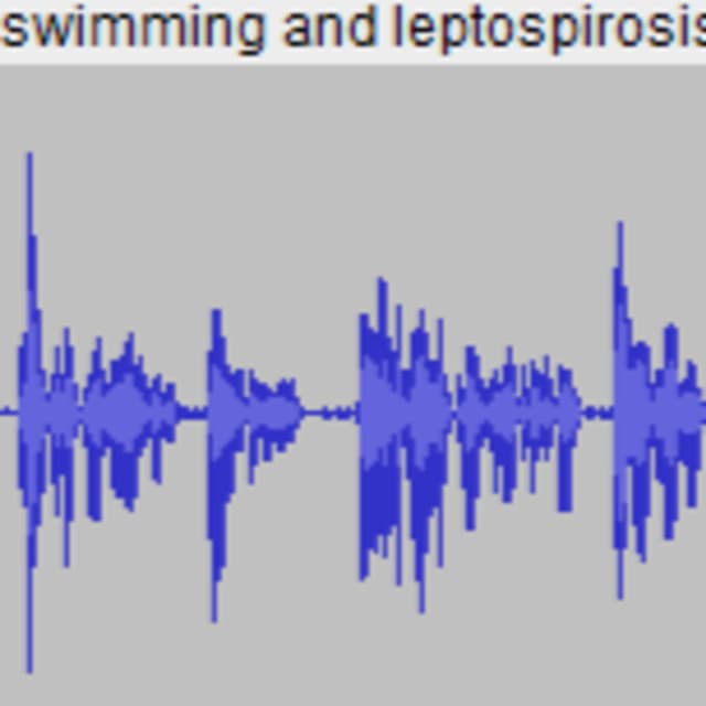 Swimming and Leptospirosis - Stanley Ulijaszek