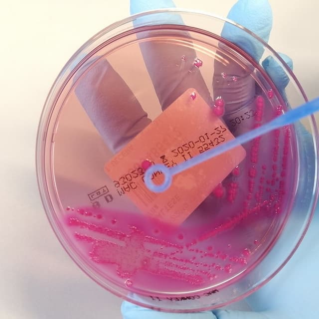 Episode 82: All-Star Selections and the Petri Dish East