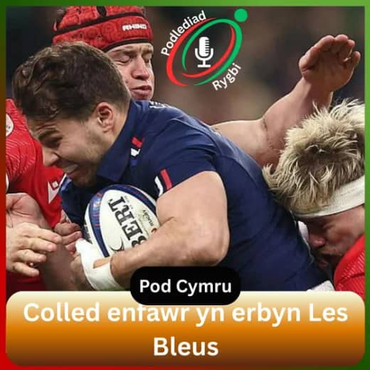 Colled enfawr yn erbyn Les Bleus