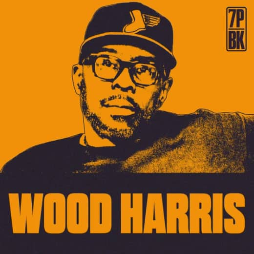 Wood Harris on The Wire, Above the Rim & Feeling Pressure Acting With Denzel Washington