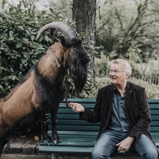 #13 "Neulich bei Hennes auf der Bank" Young Goats erobern Europa