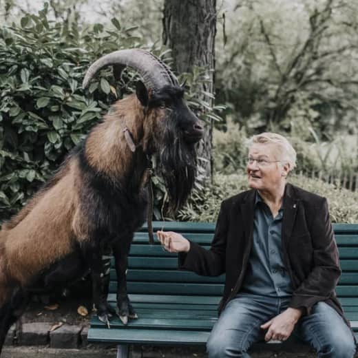 #13 "Neulich bei Hennes auf der Bank" Young Goats erobern Europa
