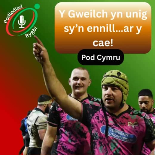 Y Gweilch yn unig sy’n ennill…ar y cae!