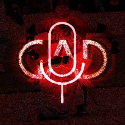 Episode 13: Division Series Review and Championship Series Preview