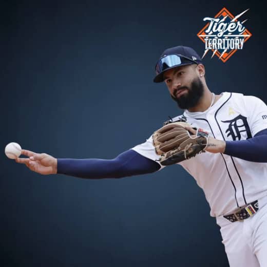 Tigers Need Right Moves In Free Agency