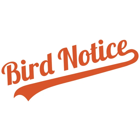 Off-Season Review/Season Preview