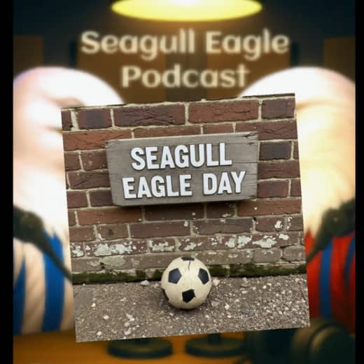 Seagull Eagle Day, TV appearances and a dancing dad.