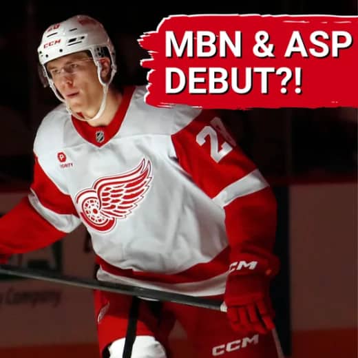 Have Michael Brandsegg-Nygard and Axel Sandin-Pellikka made the team? | Erik Gustafsson and Justin Holl waived