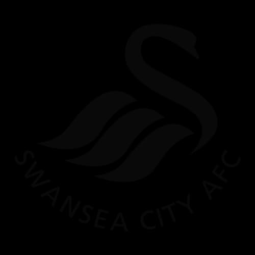 Swansea City