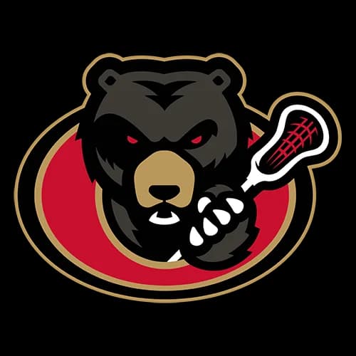 Black Bears