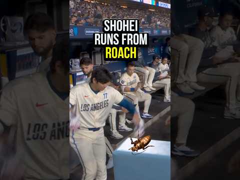 Shohei Ohtani runs from a roach in the Dodgers Dugout 🤣 #shoheiohtani #mlb