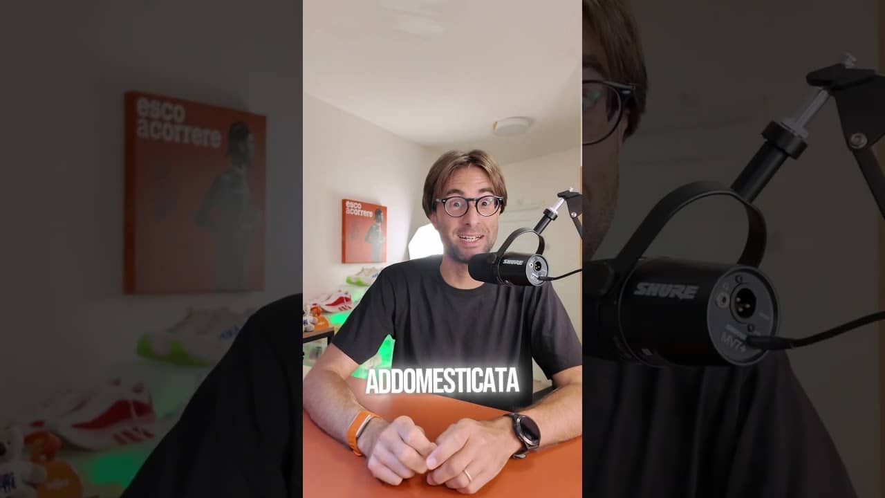 Le gare di corsa più belle al mondo.... girone B