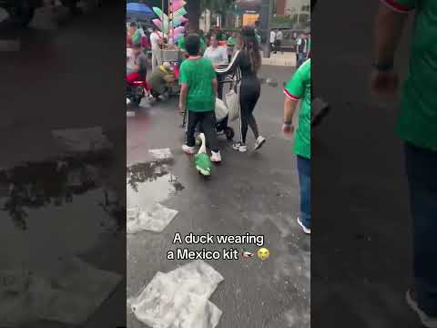 Only at the World Cup π π²π½ (via @chris_sutton73/X)