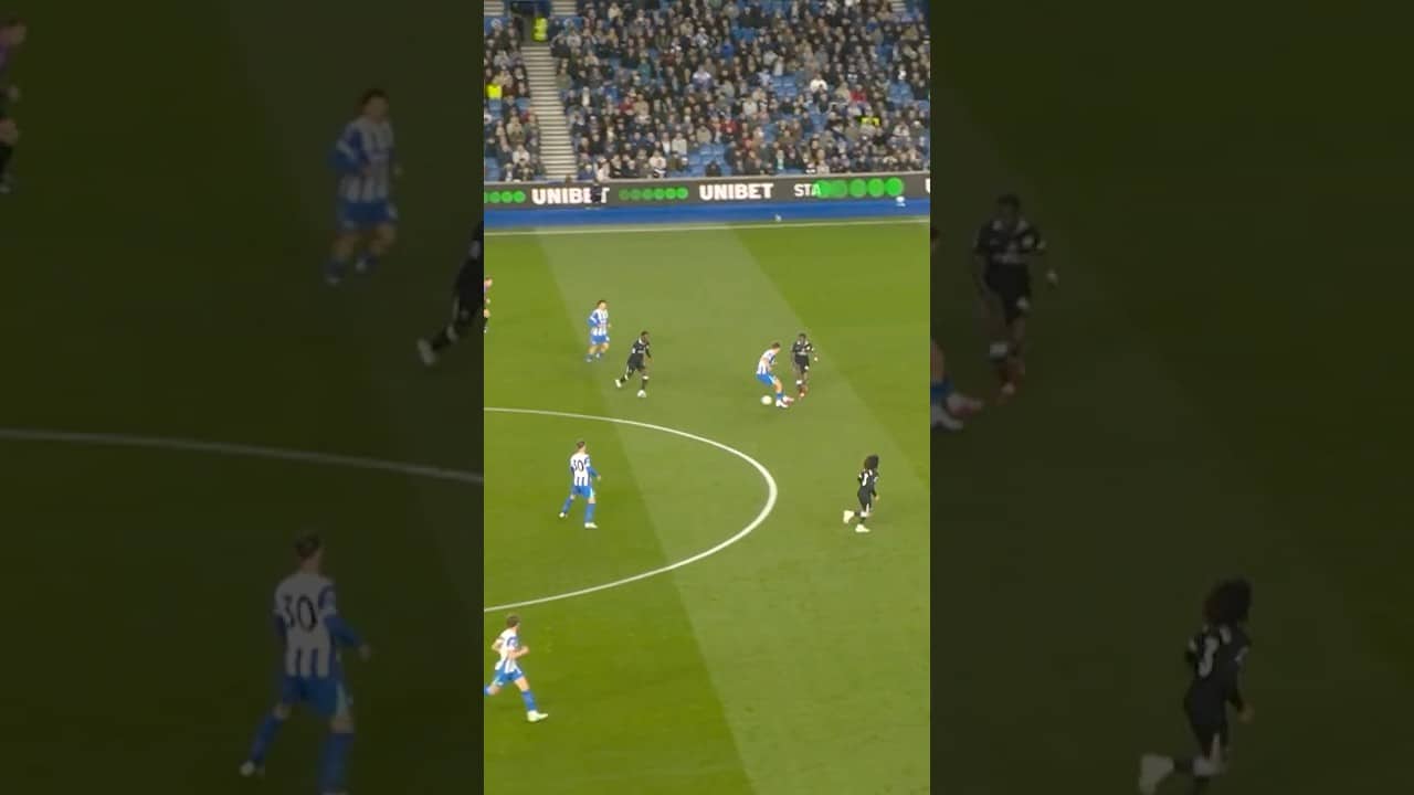 Scintillating Seagulls #brightonandhovealbion #chelsea #ferdikadioglu