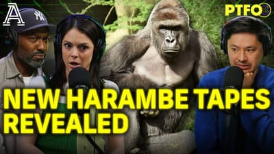 We Unearth Shocking New Harambe Video, 10 Years Later | PTFO