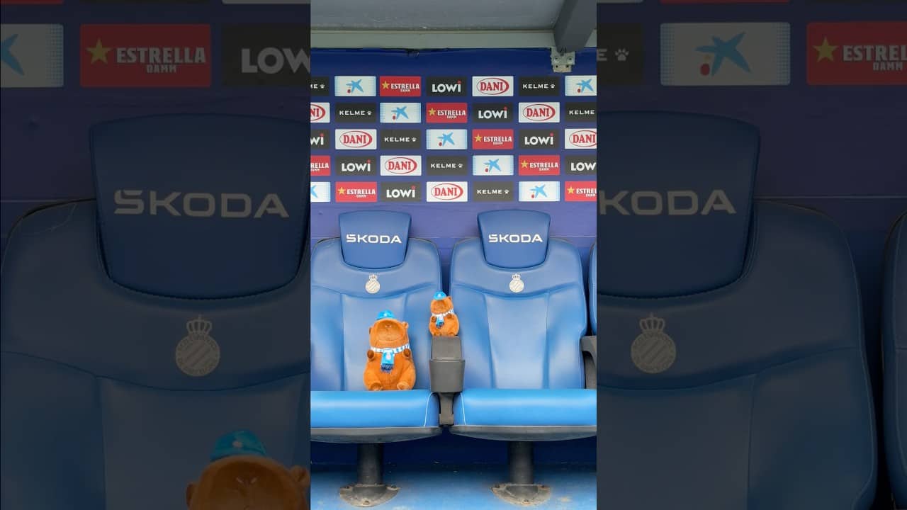 Estan contents π #RCDE
