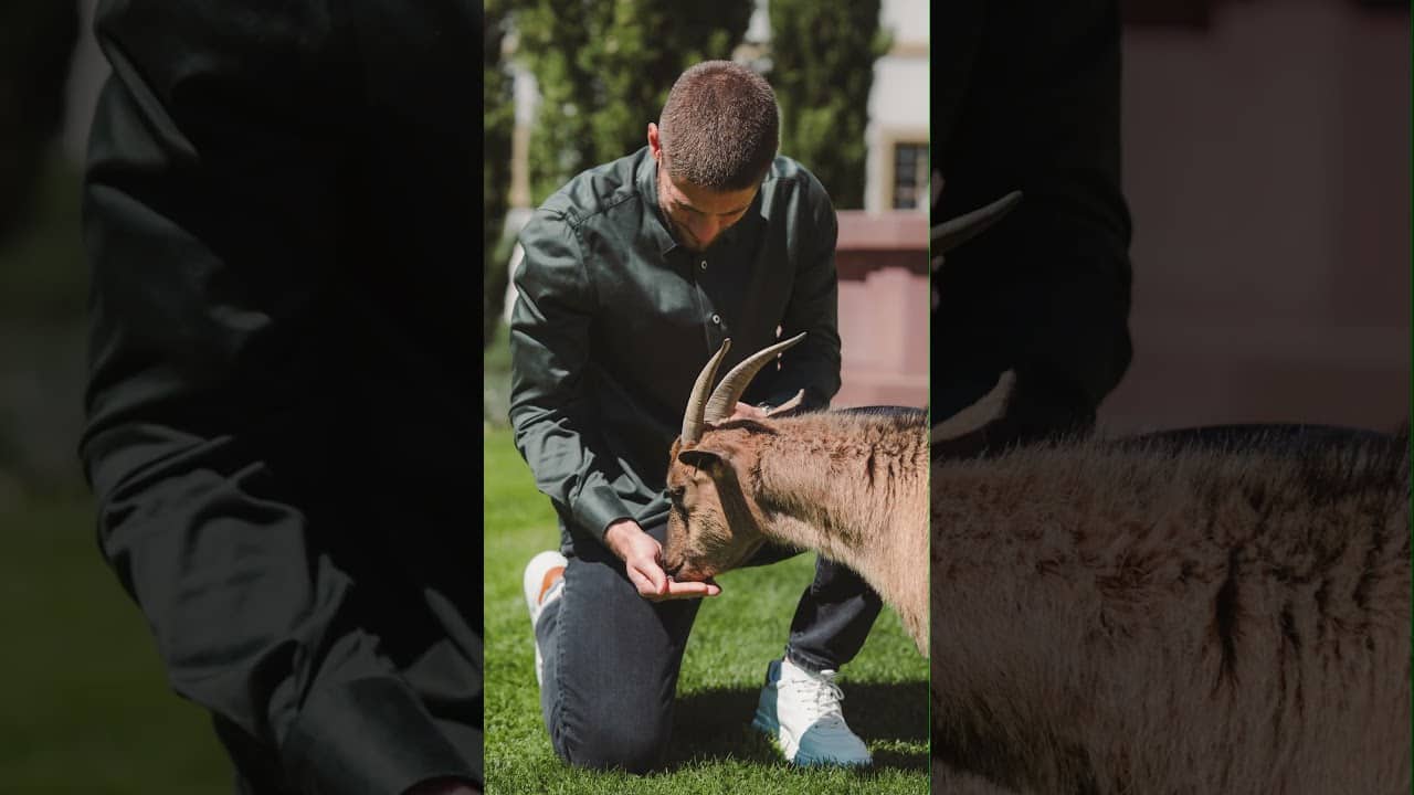 Behind the Ziege πβ #hoffenheim #tsg #andrejkramaric