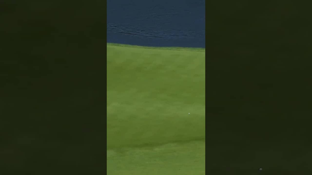 Could YOU do this? ๐ฎโ๐จ